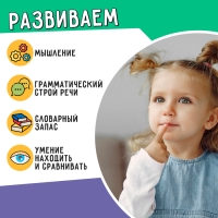 Развивающий набор &laquo;Омонимы&raquo;