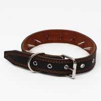 Ошейник кожаный "Строгий шип", 70 х 3,5 см, ОШ 45-60 см, чёрный Ошейник кожаный "Строгий шип", 70 х 3,5 см, ОШ 45-60 см, чёрный