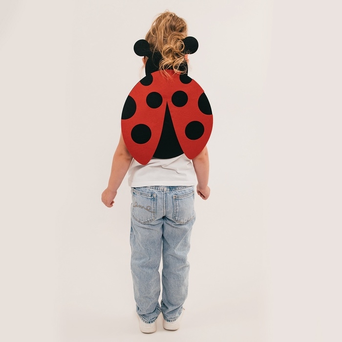 Карнавальный набор &laquo;Весёлые насекомые&raquo;: повязка и божья коровка из фетра, 3&ndash;7 лет