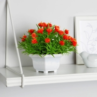 Бонсай в горшке "Портулак кустовой" 11х14 см, микс Бонсай в горшке "Портулак кустовой" 11х14 см, микс