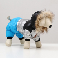 Комбинезон "Пушок", размер 18 (ДС 40 см, ОГ 50 см, ОШ 38 см), голубой Комбинезон "Пушок", размер 18 (ДС 40 см, ОГ 50 см, ОШ 38 см), голубой