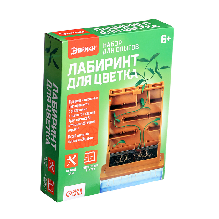 Набор для опытов &laquo;Лабиринт для цветка&raquo;