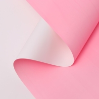 Пленка матовая 0.58 х 10 м Пленка матовая 0.58 х 10 м