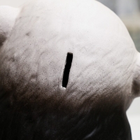 Копилка "Панда" 15см Копилка "Панда" 15см