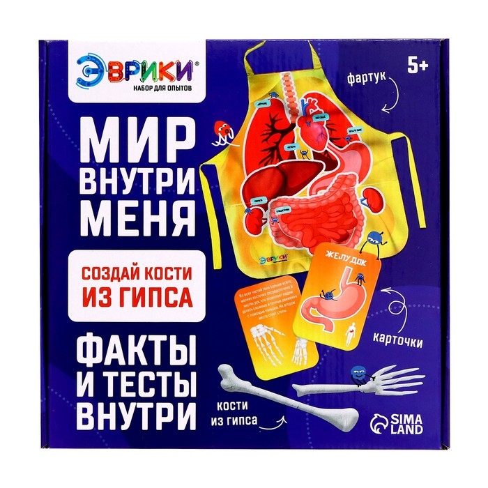 Набор для опытов &laquo;Мир внутри меня&raquo;