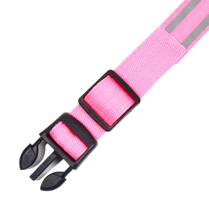 Ошейник с подсветкой Двойная полоса размер S, ОШ 35-43 х 2,5 см 3 режима свечения розовый Ошейник с подсветкой Двойная полоса размер S, ОШ 35-43 х 2,5 см 3 режима свечения розовый