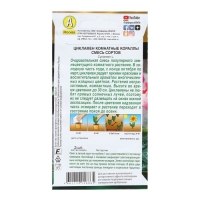 Семена Цветов Цикламен "Комнатные кораллы", смесь сортов, 3 шт Семена Цветов Цикламен "Комнатные кораллы", смесь сортов, 3 шт