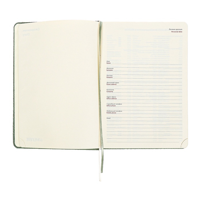 Ежедневник недатированный A5 136 листов, кожзам deVENTE. Clair, твердая обложка с поролоном, перфорация, ляссе, блок 70, зеленый