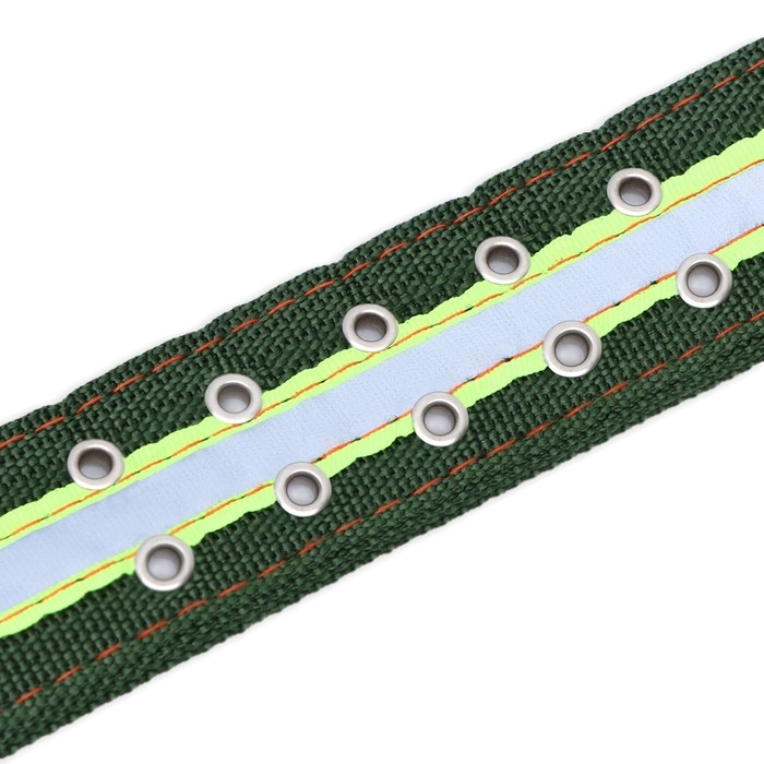 Ошейник четырехслойный светоотражающий с вертлюгом, 71 х 5 см, ОШ 55-65 см, зелёный