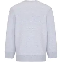 Свитшот детский Columbia Kids, серый меланж, на рост 130-140