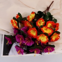 Букет "Ахименес Тереза" 5х33 см, микс