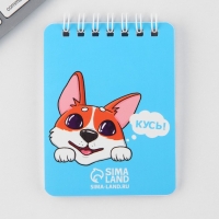 Подарочный набор &laquo;Спешу за счастьем&raquo;, карандаши 2 шт, ластики 2 шт, блокнот