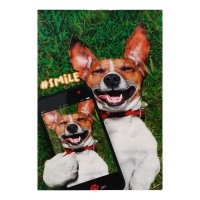 Набор блокнотов А6, 40 листов в клетку на скрепке "Пёсо-селфи", обложка мелованный картон, блок офсет, 4 штуки