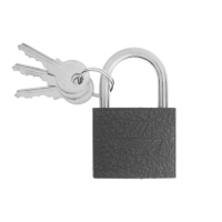 Замок навесной ТУНДРА 38 мм, 3 ключа, подвес