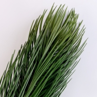 Новый год! Литая веточка, зелёная, набор 1 шт.