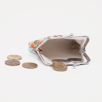 Кошелёк женский на фермуаре, цвет голубой Кошелёк женский на фермуаре, цвет голубой