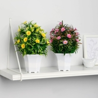 Бонсай в горшке "Ромашка нивяник" 11х22 см, микс