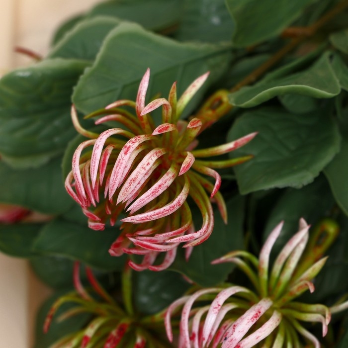 Букет "Клематис" 25 см, микс