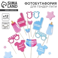 Набор фотобутафории &laquo;Гендер пати&raquo;.