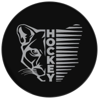 Шайба хоккейная Winter Star, взрослая, d=7,6 см Шайба хоккейная Winter Star, взрослая, d=7,6 см