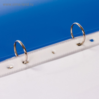 Файл-вкладыш А4, 100 мкм, BRAUBERG, плотные, тиснение, глянцевый, вертикальный, 50 штук