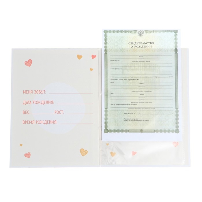 Папка для свидетельства о рождении &laquo;Медвежонок&raquo;, 23,5 х 31,5 см.