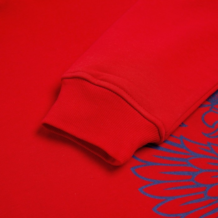 Худи President Спорт Герб, размер, XL, цвет красный