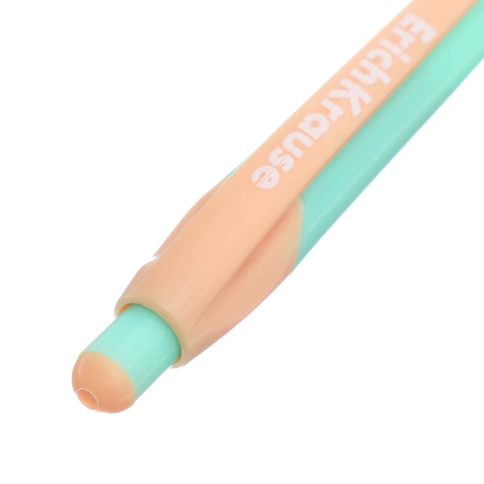 Ручка шариковая автоматическая ErichKrause XR-30 Matic&Grip Pastel Bloom, узел 0.7 мм, чернила синие, резиновый держатель, длина линии письма 1000 метров Ручка шариковая автоматическая ErichKrause XR-30 Matic&Grip Pastel Bloom, узел 0.7 мм, чернила синие, резиновый держатель, длина линии письма 1000 метров