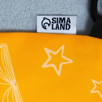 Мешок для обуви &laquo;Учусь на 5!&raquo; 2 секции, 30 х 40 см