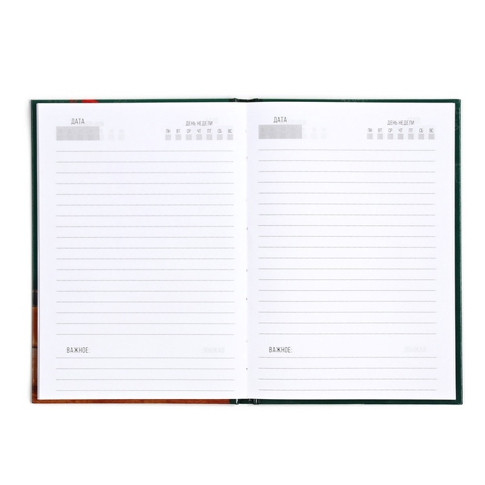 Подарочный набор &laquo;Учителю: С Днём Учителя&raquo;: ежедневник А5, 80 л, медаль