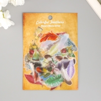 Наклейки для творчества пластик PVC "Яркие перья" набор 60 шт 10х14 см