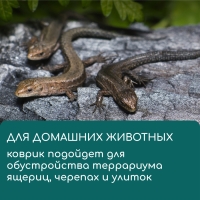 Коврик джутовый для выращивания микрозелени, 10 &times; 15 см, толщина 1 см, набор 5 шт.