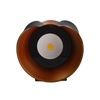 Светильник фасадный &laquo;Элегант&raquo;, FSD-035, 10Вт, 3000К, 1 луч, IP65, 220В, пласт., черно-золот.   10084