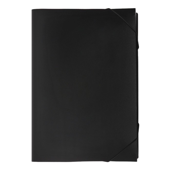 Папка картотека А4, Calligrata, 6 отделений, пластиковая, 700 мкм, чёрная