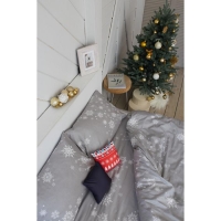Постельное белье LoveLife 2сп Star 175*215см,200*225см,50*70см-2шт