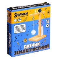 Набор для опытов &laquo;Датчик землетрясений&raquo;