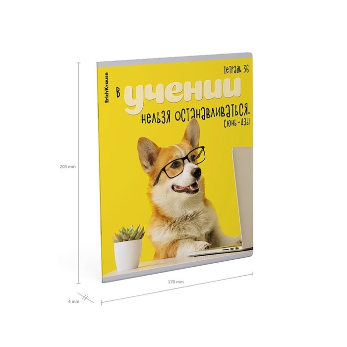 Тетрадь 36 листов в клетку, ErichKrause Тетрадь 36 листов в клетку, ErichKrause "Ученые собаки", обложка мелованный картон, блок офсет 100% белизна, МИКС