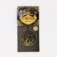 Брелок новогодний, для ключей «Приношу удачу», диам. 4 см Брелок новогодний, для ключей «Приношу удачу», диам. 4 см