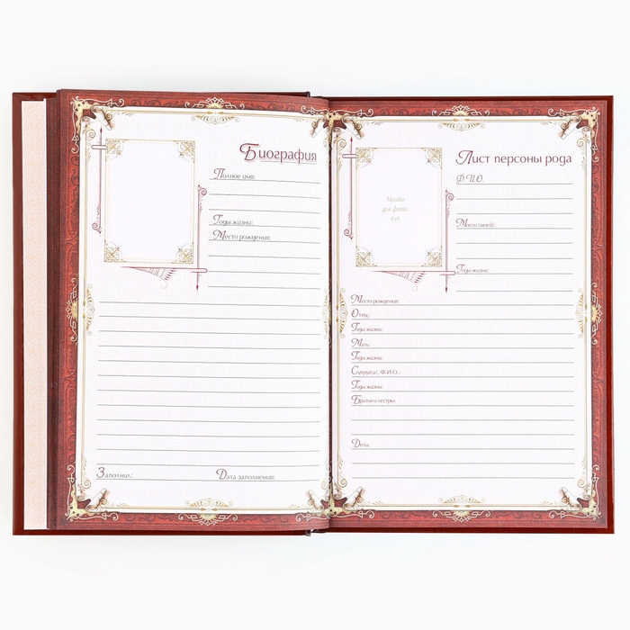 Родословная книга новогодним пояском &laquo;Новый год: Дед мороз&raquo;, 16,5 х 24 см.