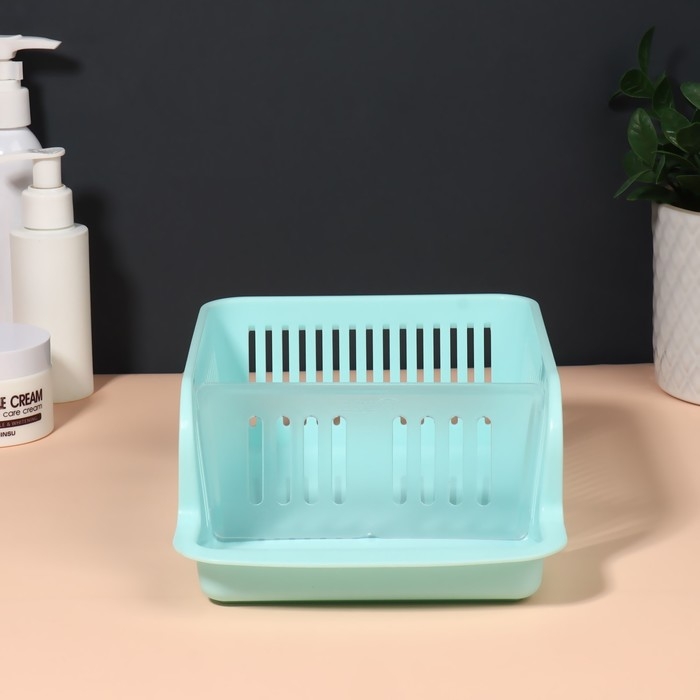 Органайзер для хранения косметических принадлежностей &laquo;Prestige&raquo;, 2 секции, 23 &times; 16,1 см, цвет мятный
