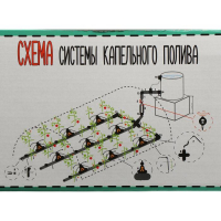 Набор для капельного полива, на 72 растения, с таймером, «Синьор Помидор» PRO Набор для капельного полива, на 72 растения, с таймером, «Синьор Помидор» PRO