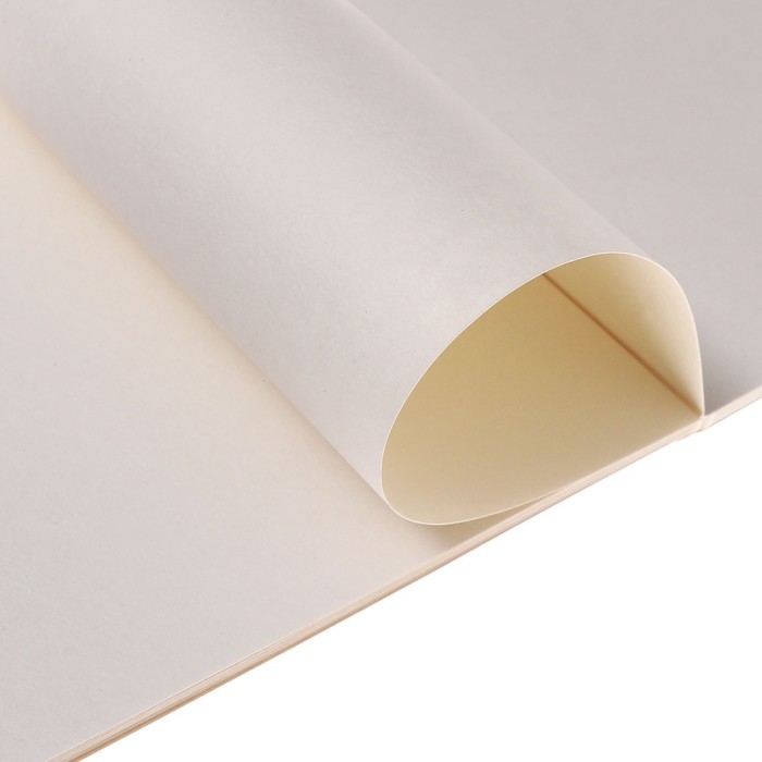 Альбом для акварели А4 40л 180г/м&sup2; на скл Calligrata, обл мел карт, жест подл