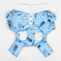 Комбинезон "Метель", размер M (ДС 30 см, ОГ 40, ОШ 27 см), голубой