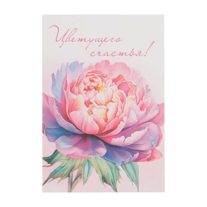 Набор мини-открыток Набор мини-открыток "Цветы" 7,6 х 10,6 см