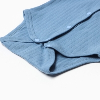 Боди с длинным рукавом, цвет синий, рост 68 см