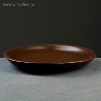 Поддон для горшка 5 л (D=21 см) подходит к кашпо 4л ;5л; коричневый Поддон для горшка 5 л (D=21 см) подходит к кашпо 4л ;5л; коричневый