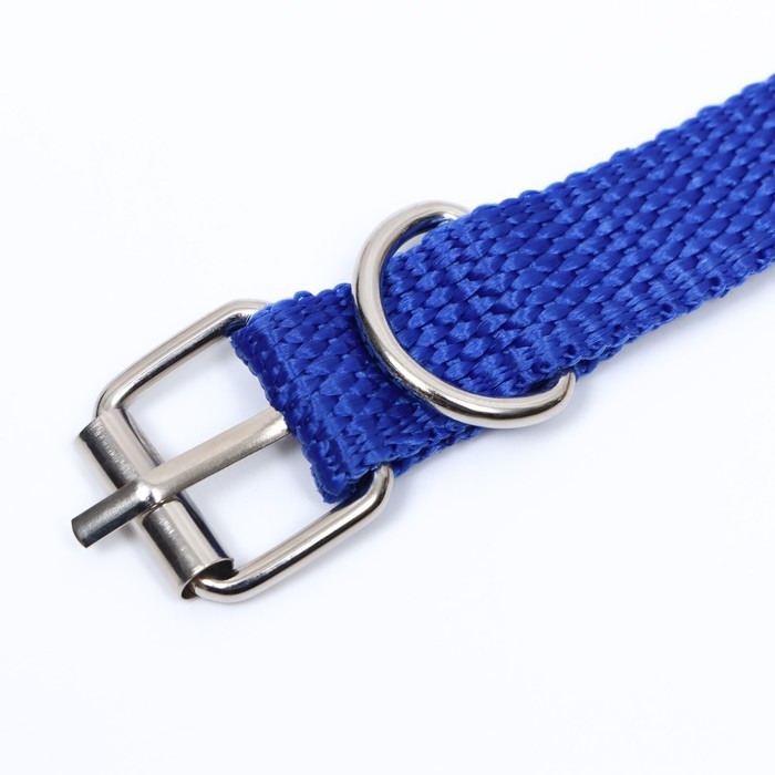 Ошейник Ошейник "Комфорт" комбинированный (полиэстер, искусственная кожа), 39 х 1,5 см, ОШ 26-33 см, синий 6