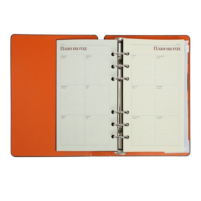 Ежедневник недатированный А5, 120 листов на кольцах FIRENZE, обложка искусственная кожа, блок 70г/м2, чёрный