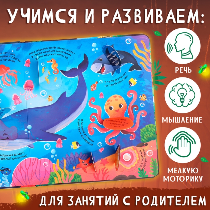 Книга с окошками «Мир животных», 50 окошек Книга с окошками «Мир животных», 50 окошек