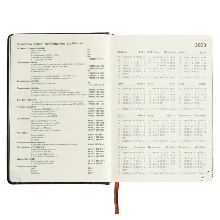 Ежедневник датированный 2024 A5 176 листов, deVENTE.Wild, твёрдая обложка из искусственной кожи, золотой срез, ляссе, кремовый блок 70 г/м2, тёмно-коричневый